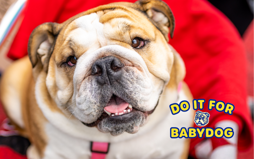 Congratulations! Three PCS Students Win Full-Ride Scholarships Through Do It For Babydog Vaccination Sweepstakes! 