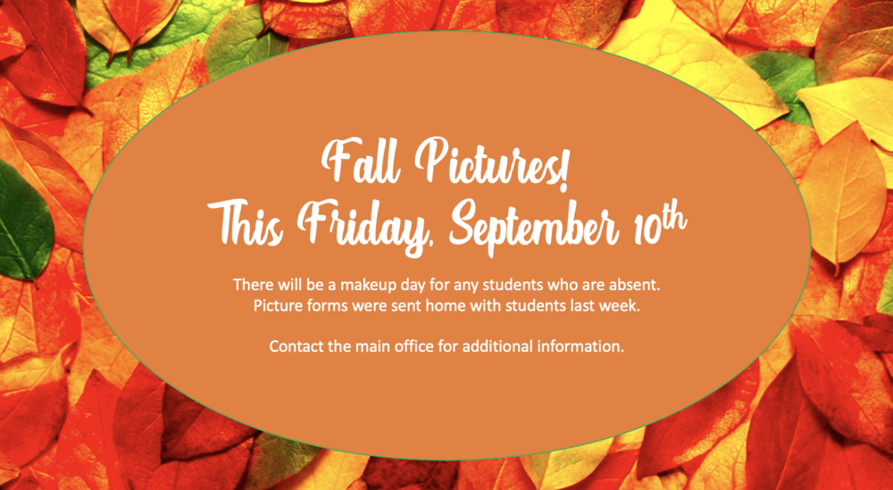 Fall Picture Information